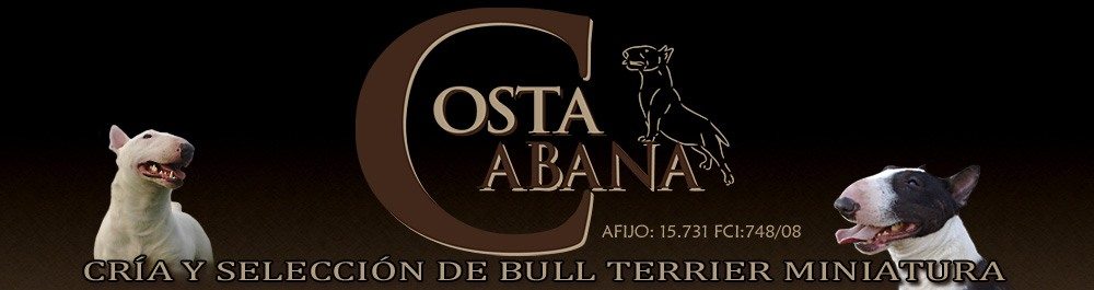 Logo Bull Terrier