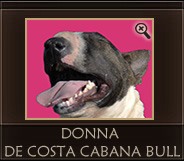 Donna de Costa Cabana Bull