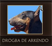 Drogba de Arkendo