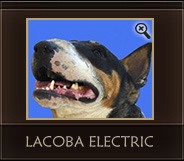 Lacoba Electric