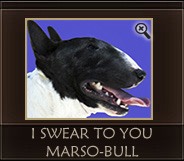 I swear to you Marso Bull