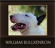 William Bullxenron