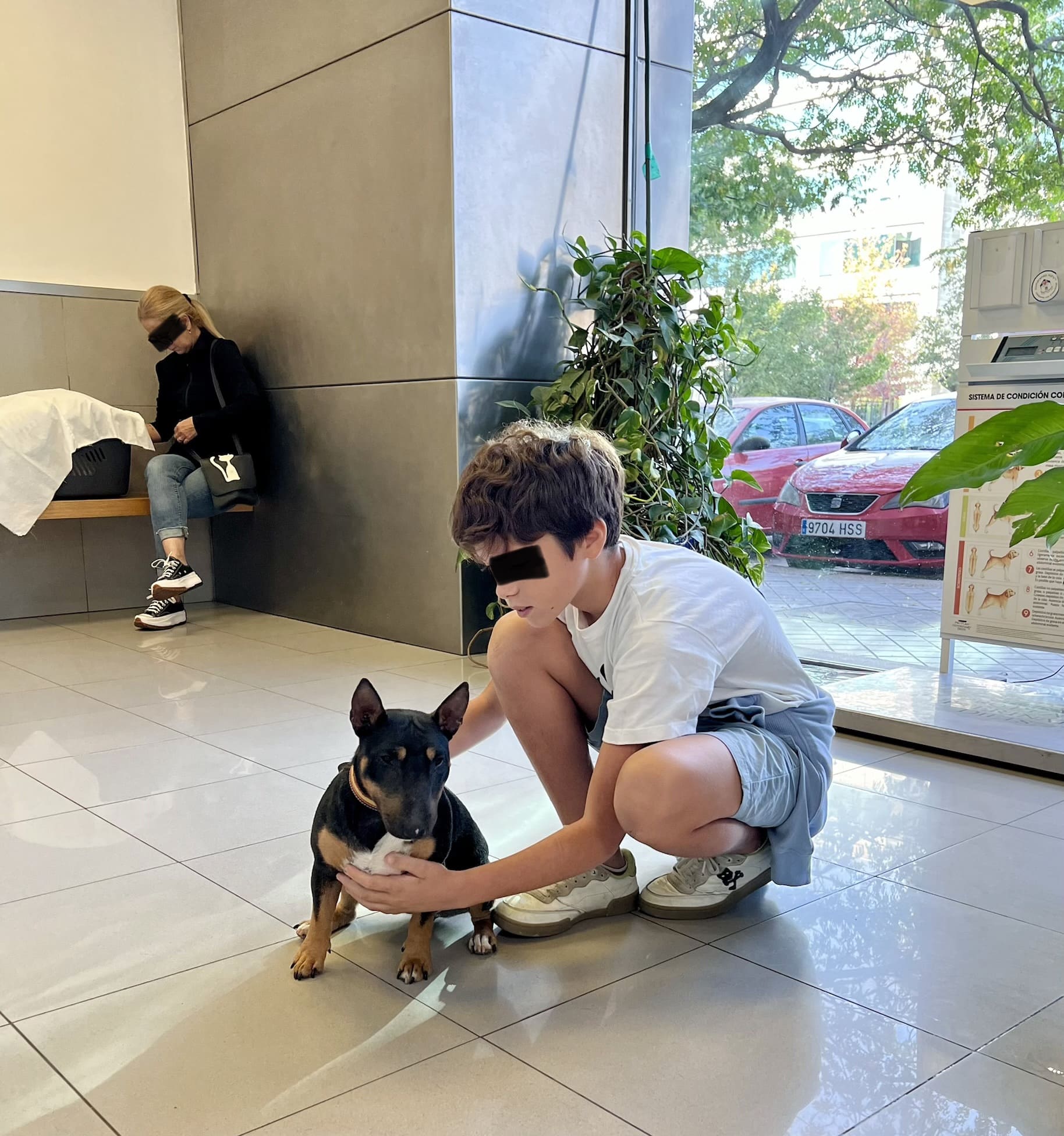 Entrenamineto Agility