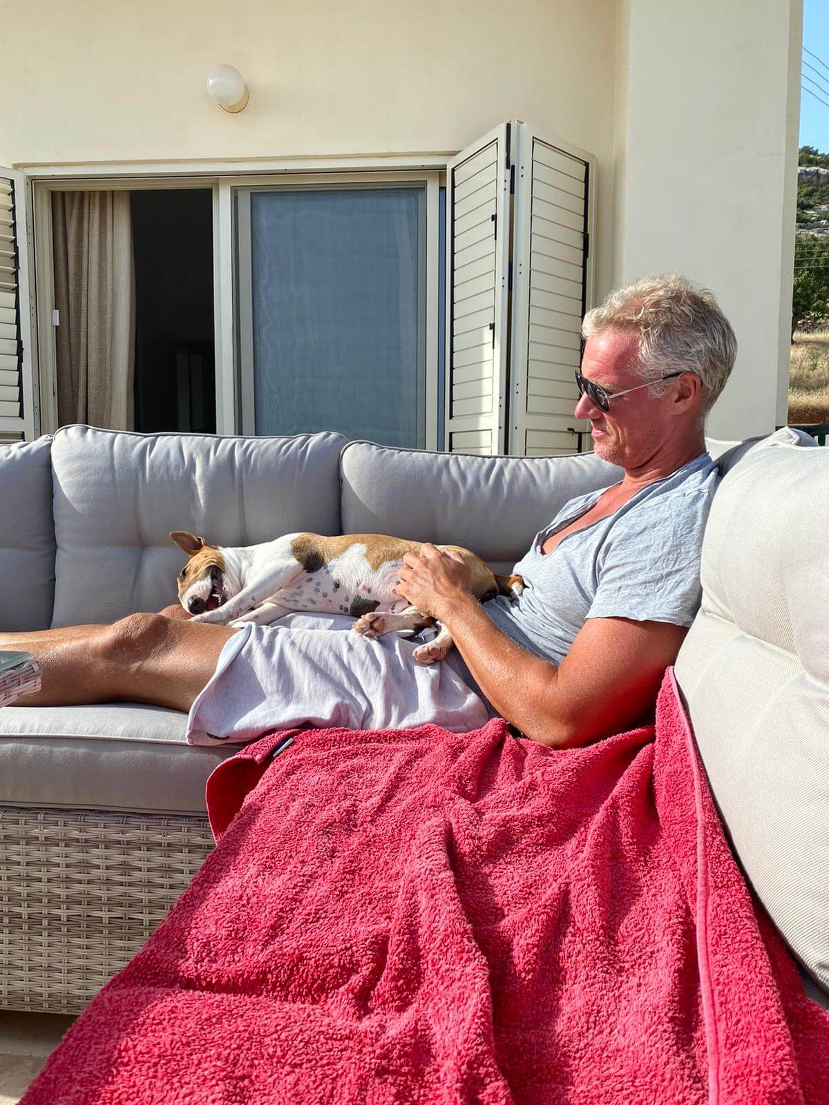 Cuidados de Bull terrier miniatura en verano