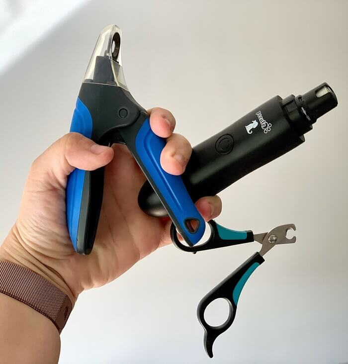 Como puedo viajar con un bull terrier miniatura