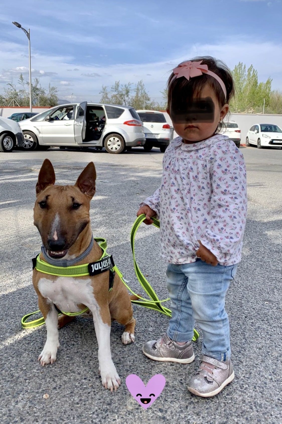 Eliminar parásitos en los perros