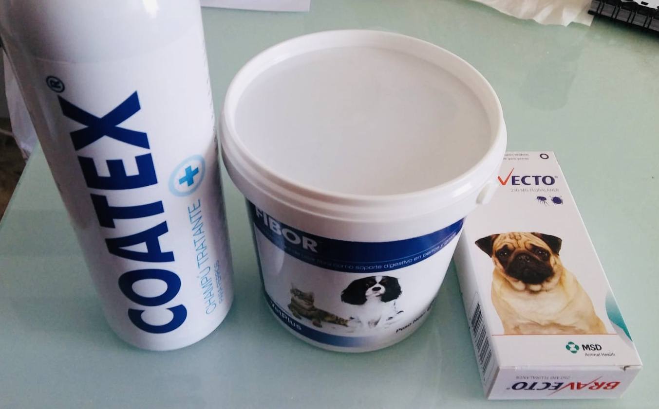 Frenar caida de pelo de Bull terrier