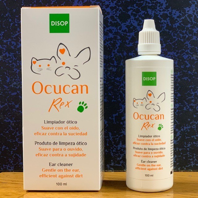 medicina limpiar orejas bull terrier miniatura