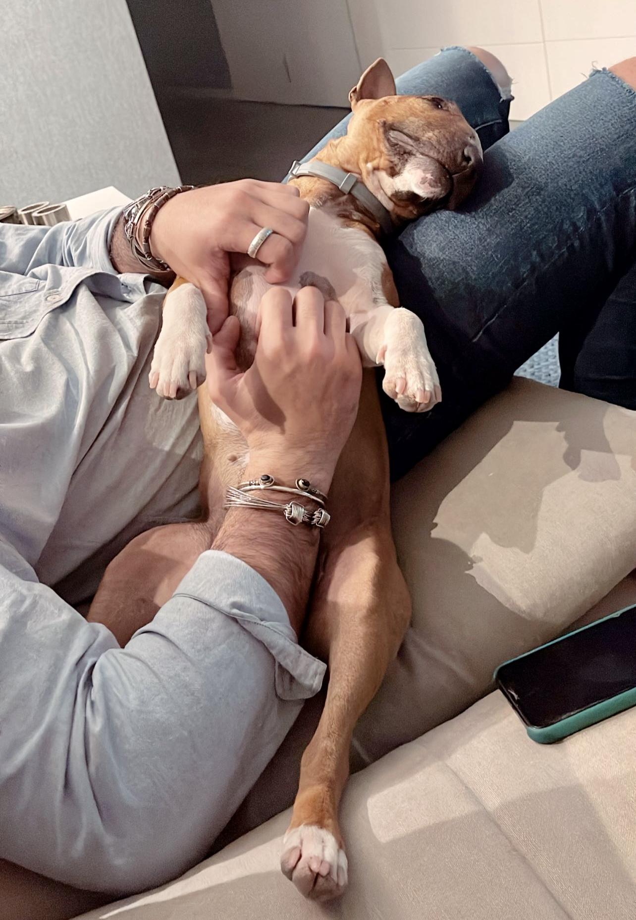 Que hace un adiestrador de perros